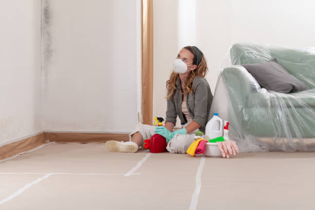 Reliable Mold Cleanup contractor in Belvidere, NC by Cheap Mold Removal